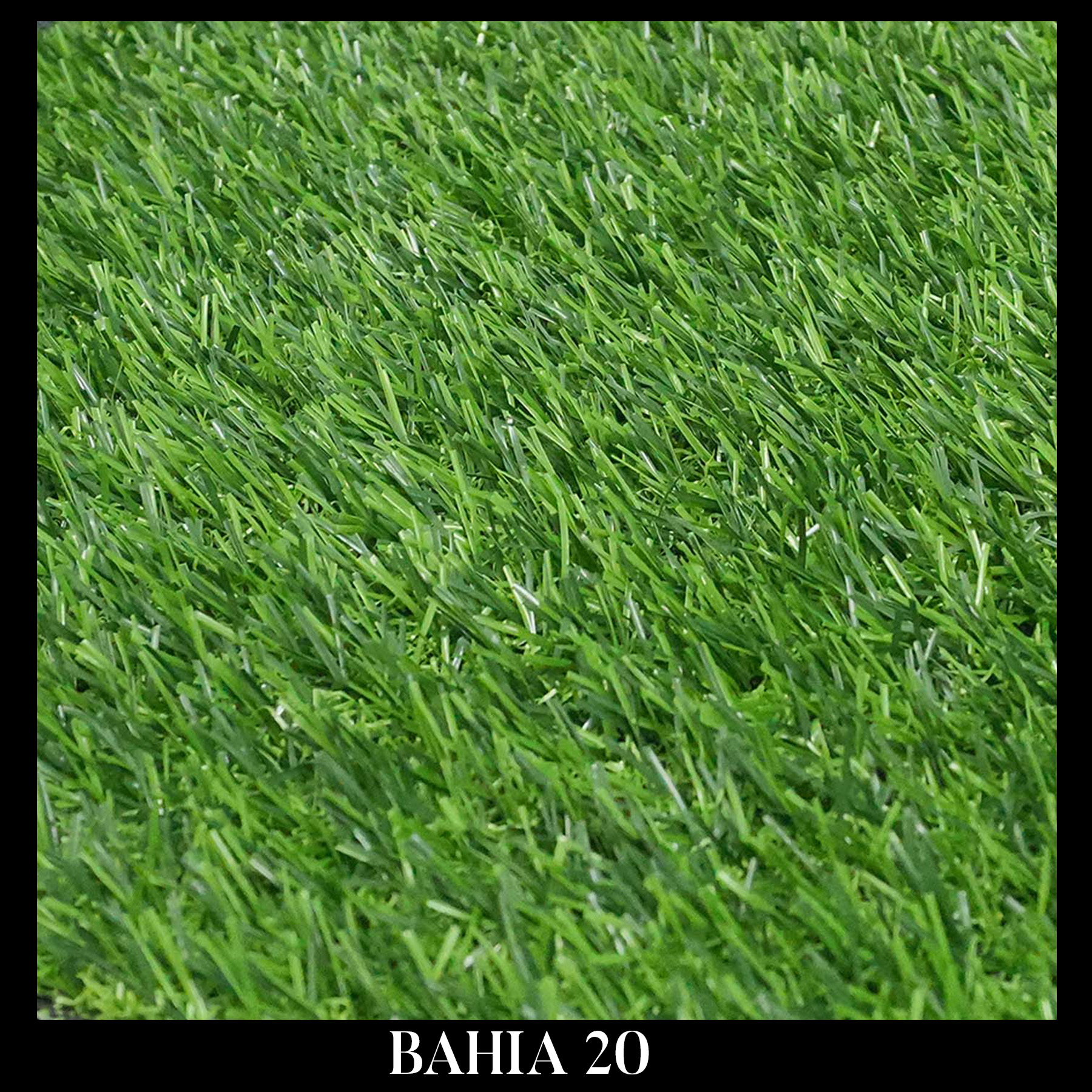 BAHIA 20